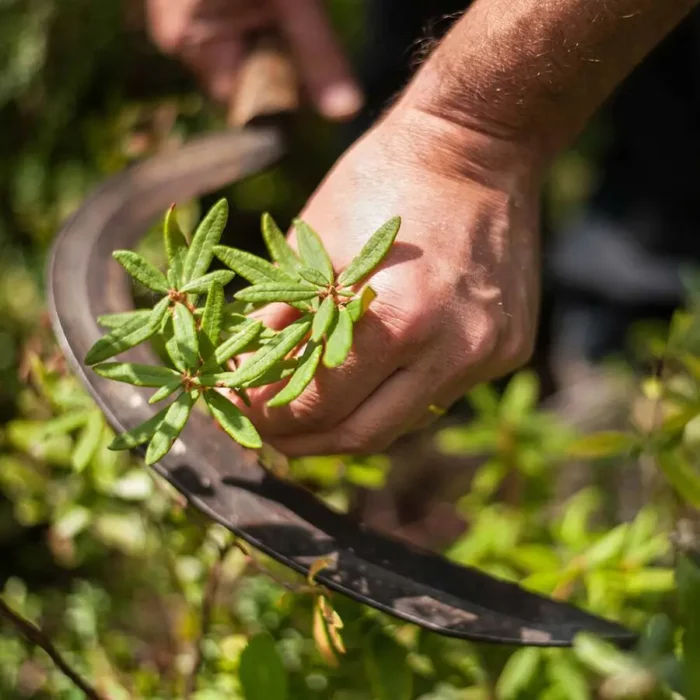 Krem hidratues kundër akneve, 40 ml. - Figura 7