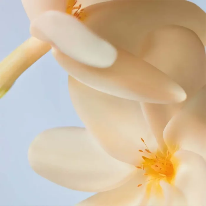 Skrab trupi Monoi, 150ml. - Figura 3